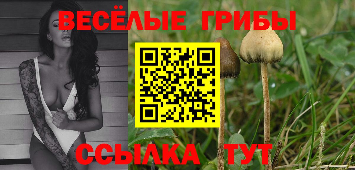 Галлюциногенные грибы MAGIC MUSHROOMS  Вход с VPN  Амурск 
