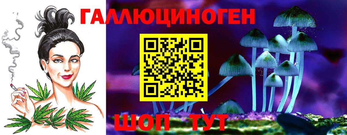 Галлюциногенные грибы GOLDEN TEACHER Амурск